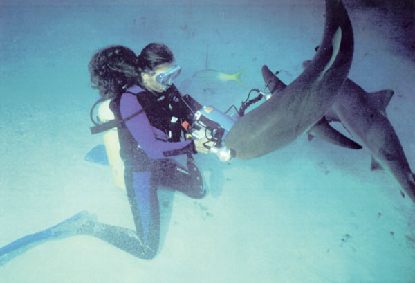 aquamotion film & tv production - Stefanie Voigt